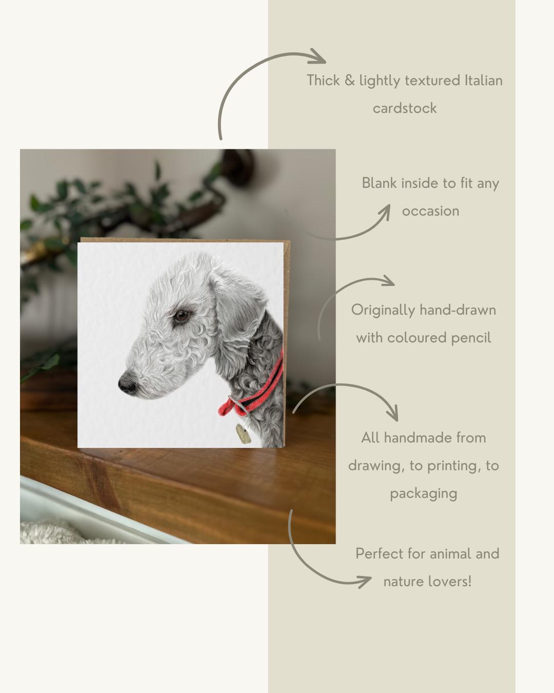 Handmade Bedlington Terrier Coloured Pencil Drawing Card, Textured Cardstock Greeting (148mm x 148mm)