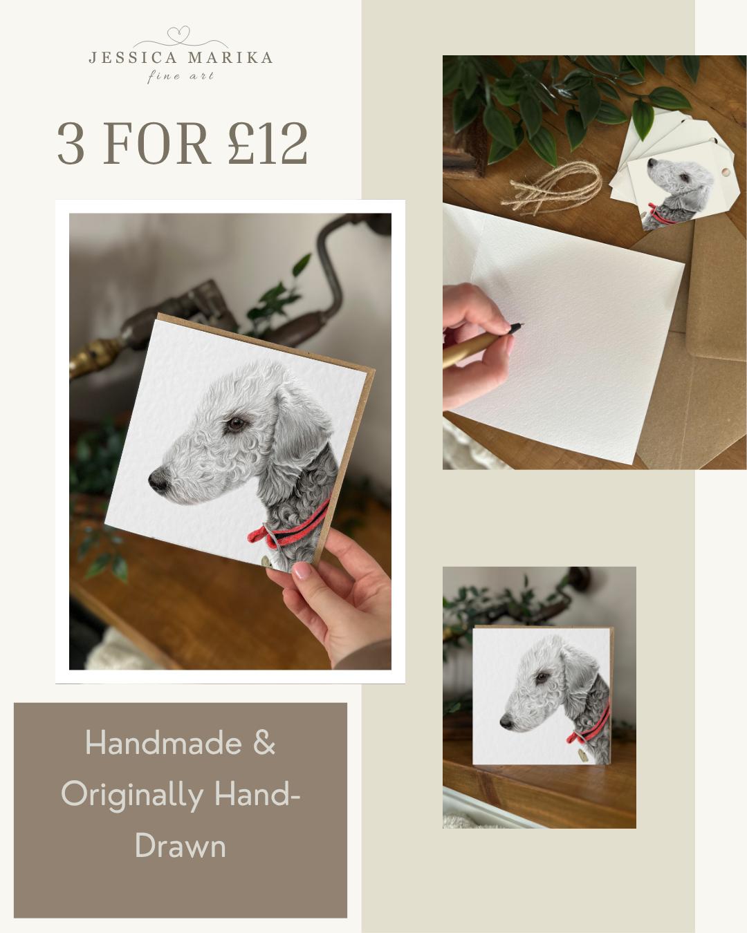 Handmade Bedlington Terrier Coloured Pencil Drawing Card, Textured Cardstock Greeting (148mm x 148mm)