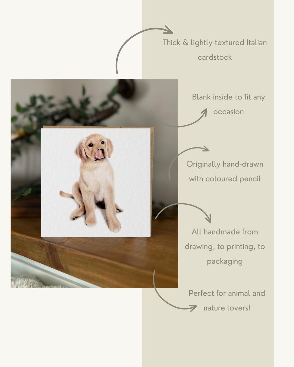 Hand Drawn Labrador Puppy Card, Coloured Pencil Drawing, Textured Cardstock (148mm x 148mm), Blank Inside