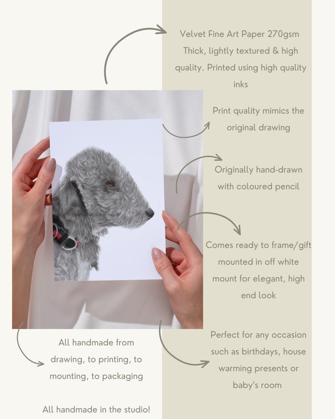 Bedlington Terrier Wall Art Print, Original Coloured Pencil Drawing, Signed Artist (A4, A5)
