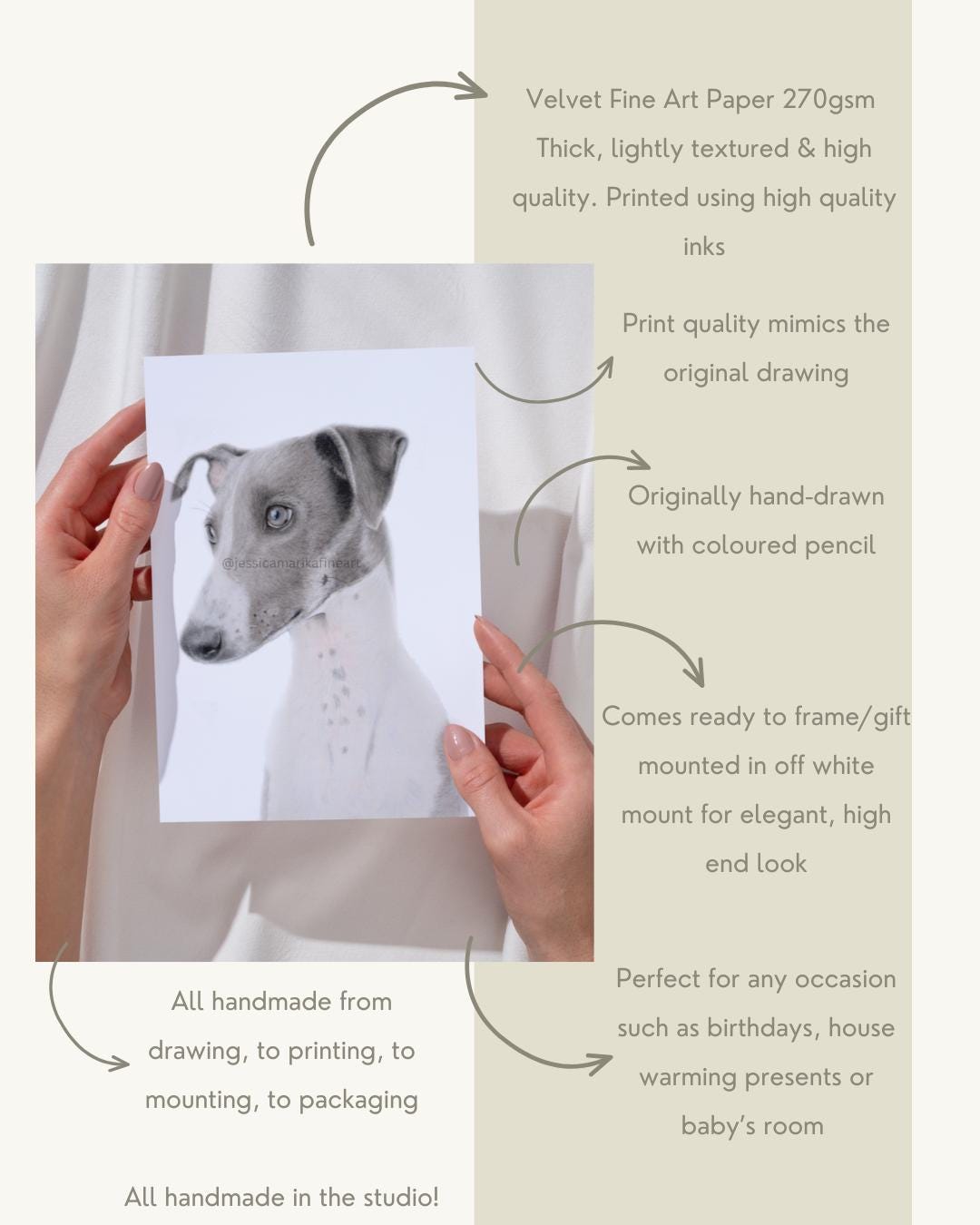 Greyhound Wall Art Print, Original Coloured Pencil Drawing, Signed Artist (A4, A5)