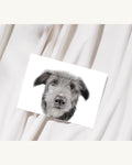 Irish Wolfhound Fine Art Mounted Print: Gentle Giant Dog Portrait Wall Art (A5, A4)