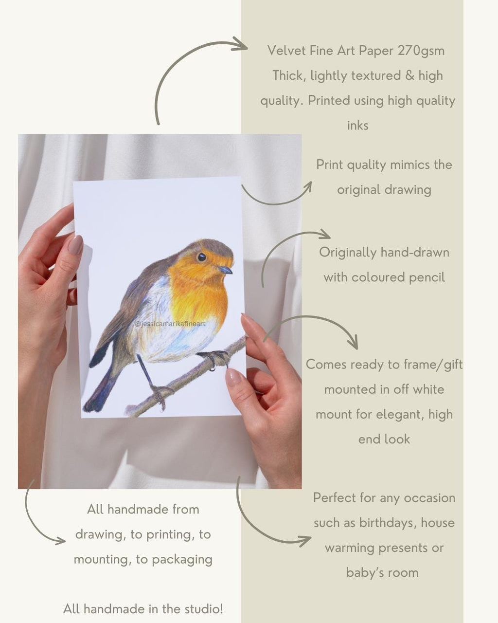 Robin Fine Art Print: "Friendly Little Visitor" Coloured Pencil Drawing Wall Art (A5 A4)