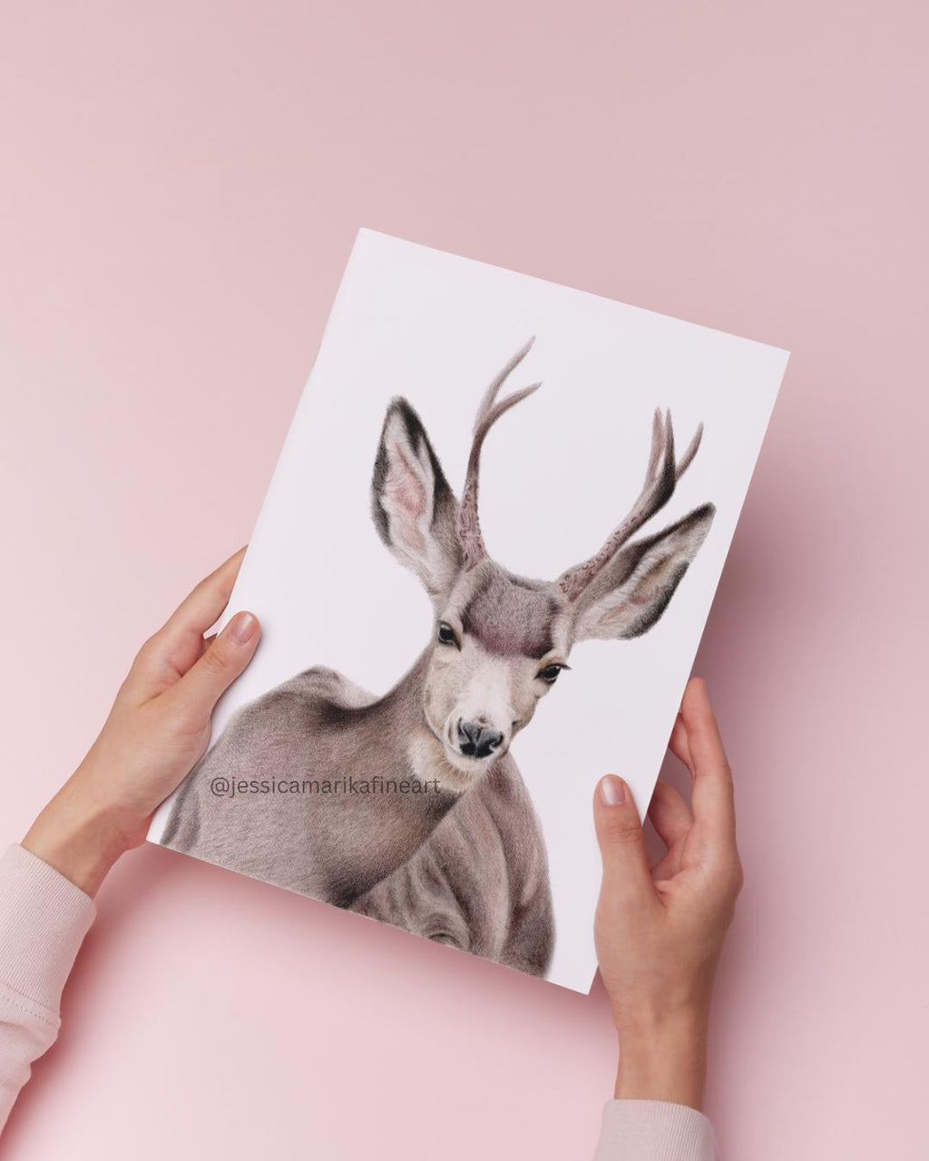 Deer Coloured Pencil Art Print: Wildlife Wall Art (A5 A4)