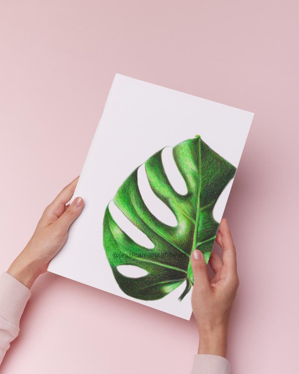 Monstera Fine Art Print: "Say Cheese!" Coloured Pencil Drawing Wall Art (A5 A4)