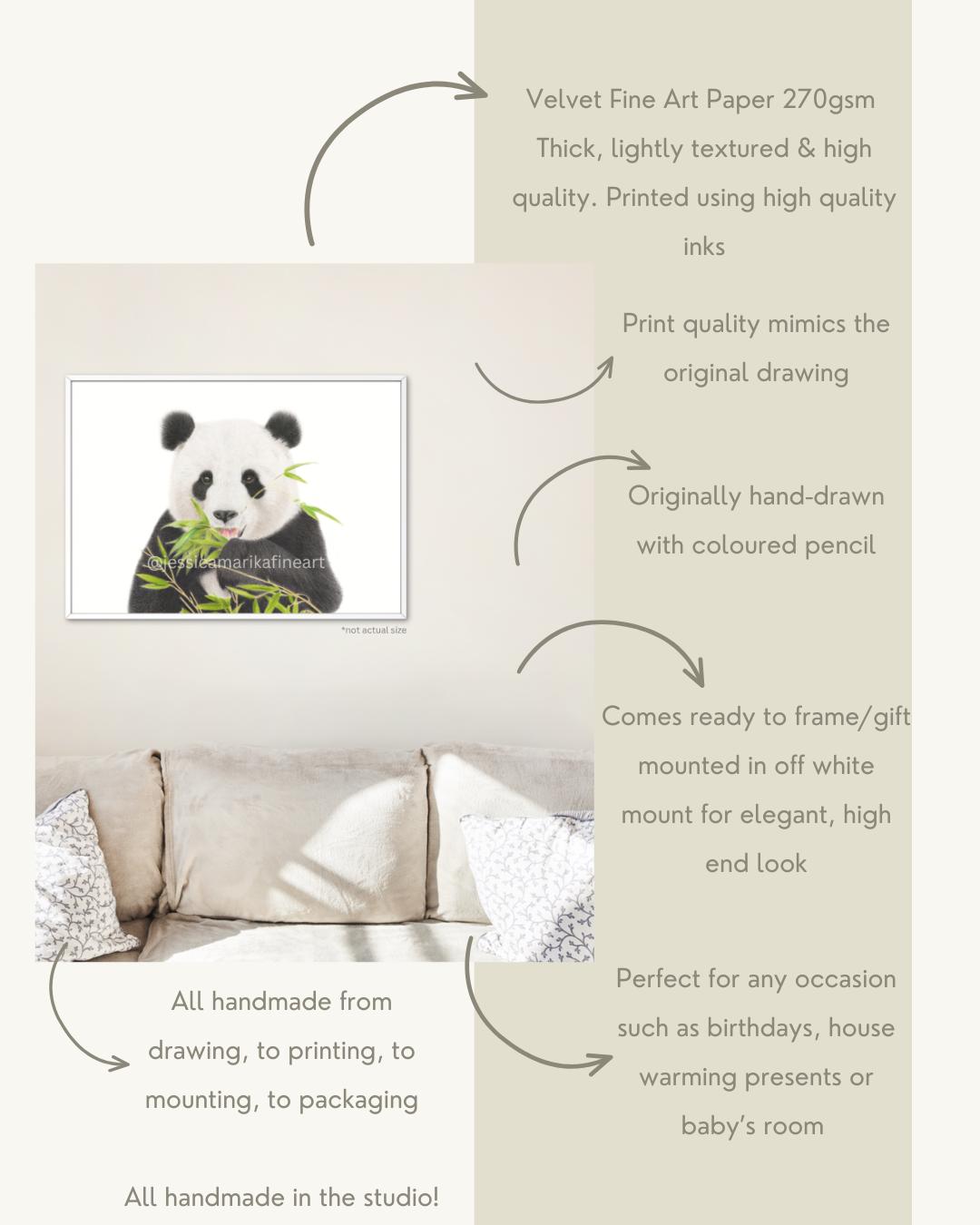 Panda Fine Art Print: "Bamboo Bliss" Coloured Pencil Drawing Wall Art (A5 A4)