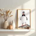Puffin Fine Art Print