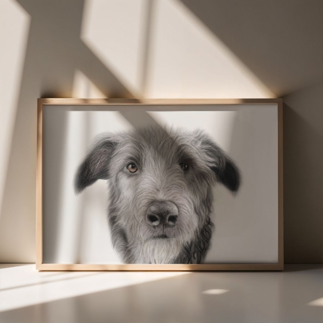 Irish Wolfhound Fine Art Print